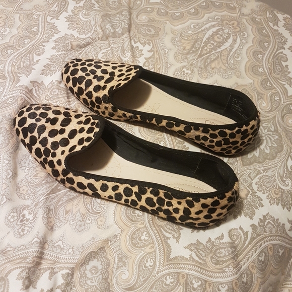 Size 14 dresses, but fits smaller. Shoes size 10 - Picture 6 of 8